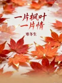 老街书签